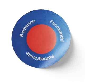 Purisaki Berberine Patches — Three-Layer Transdermal Formula